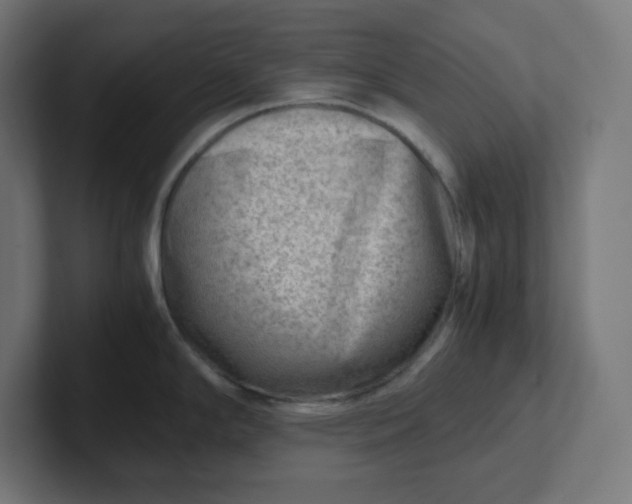 X0000102011294200808011135