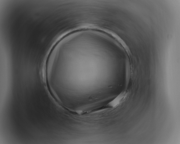 X0000102011295200808011135