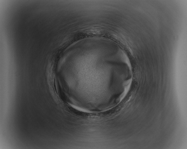 X0000102011297200808011134