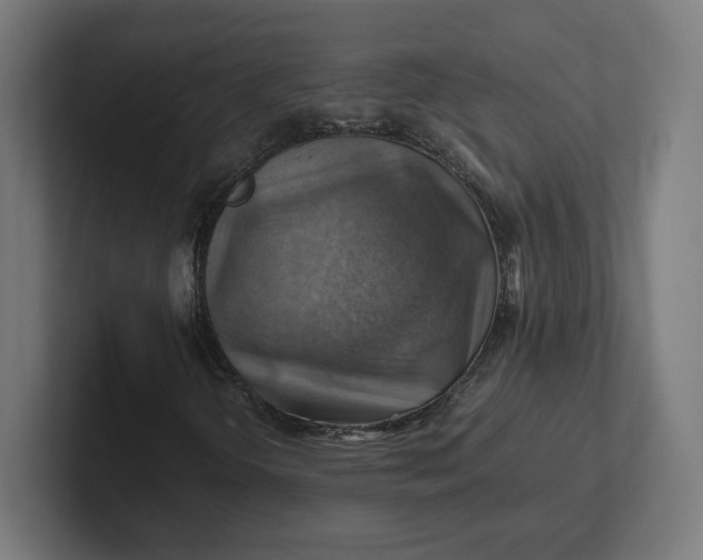 X0000102011298200808011134