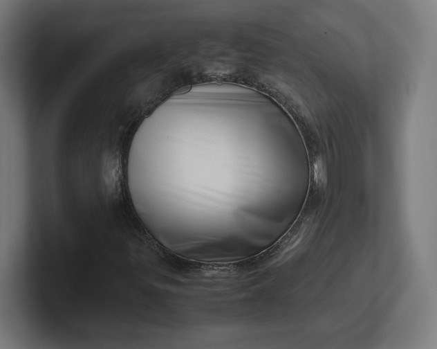 X0000102011299200808011134