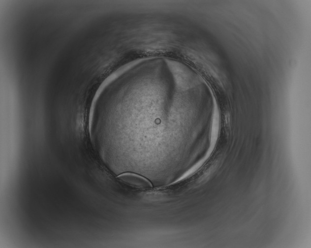 X0000102011300200808011134