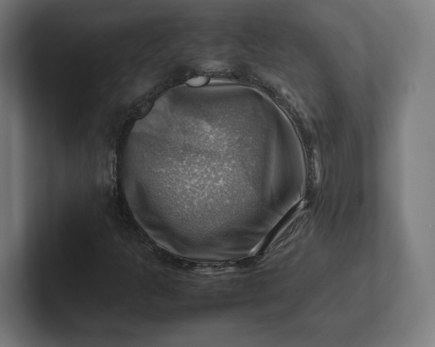 X0000102011301200808011134