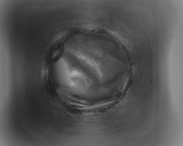 X0000102011302200808011134