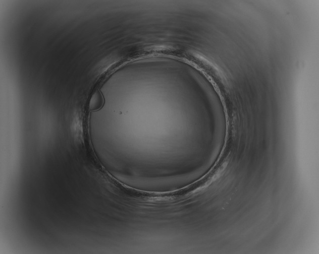 X0000102011305200808011134