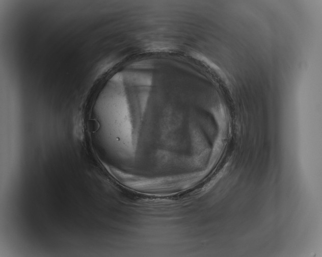 X0000102011306200808011134