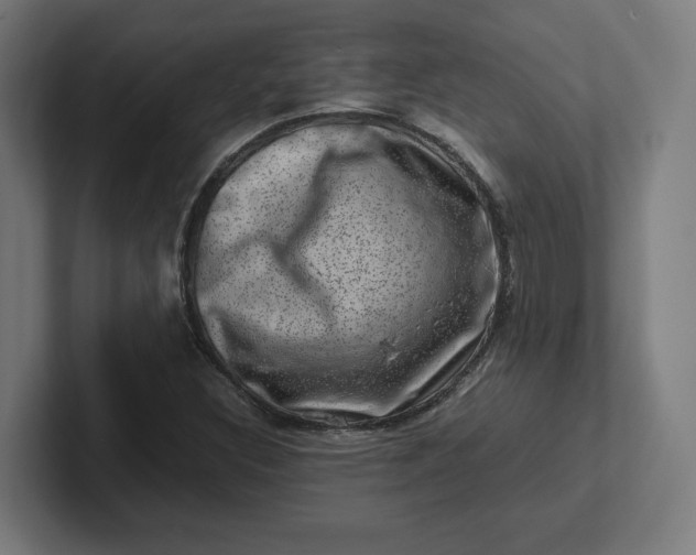 X0000102011308200808011134