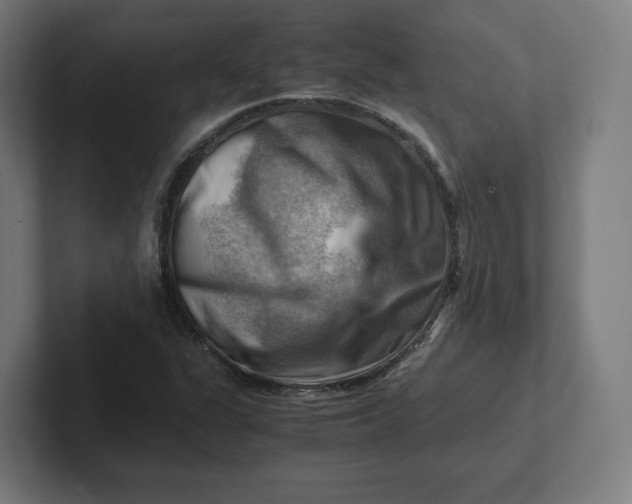 X0000102011311200808011134