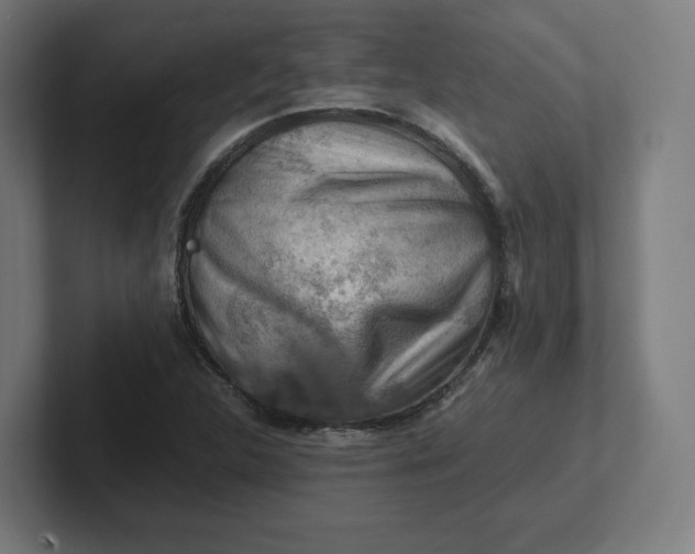 X0000102011312200808011134