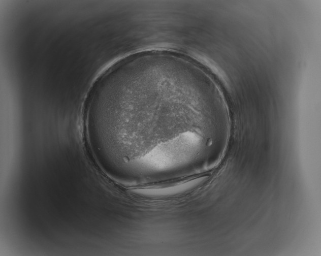 X0000102011316200808011134