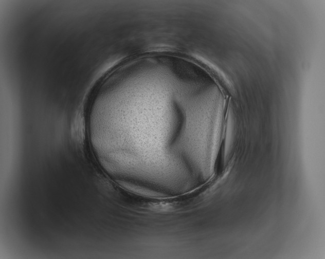 X0000102011317200808011134