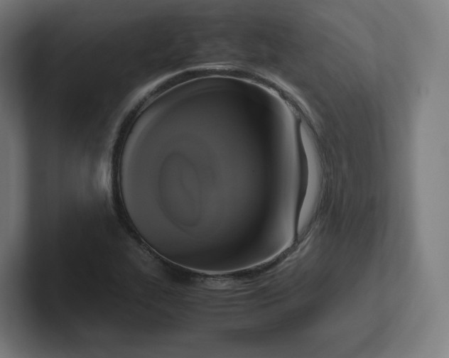 X0000102011319200808011134