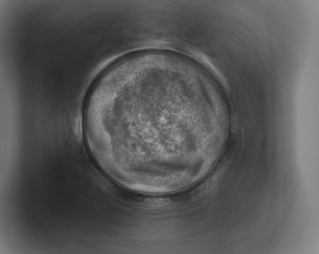 X0000102011320200808011134