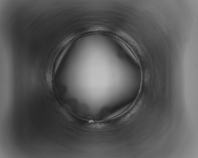 X0000102011321200808011134