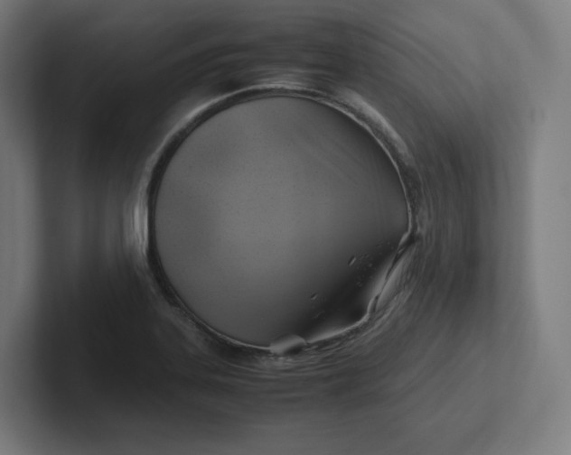 X0000102011323200808011134