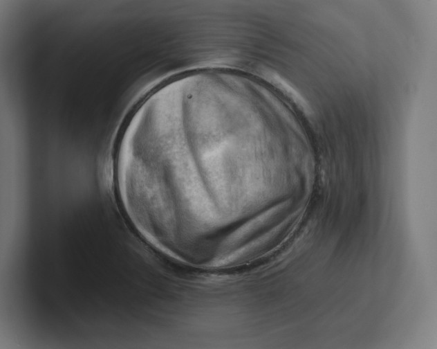 X0000102011324200808011134