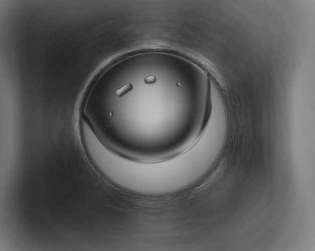 X0000102011326200808011134