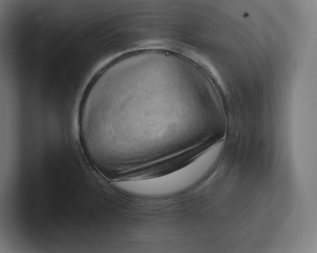 X0000102011328200808011134