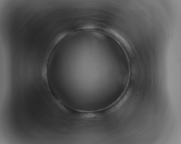 X0000102011329200808011134