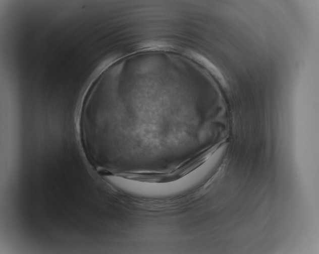 X0000102011330200808011134