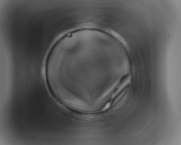 X0000102011334200808011134