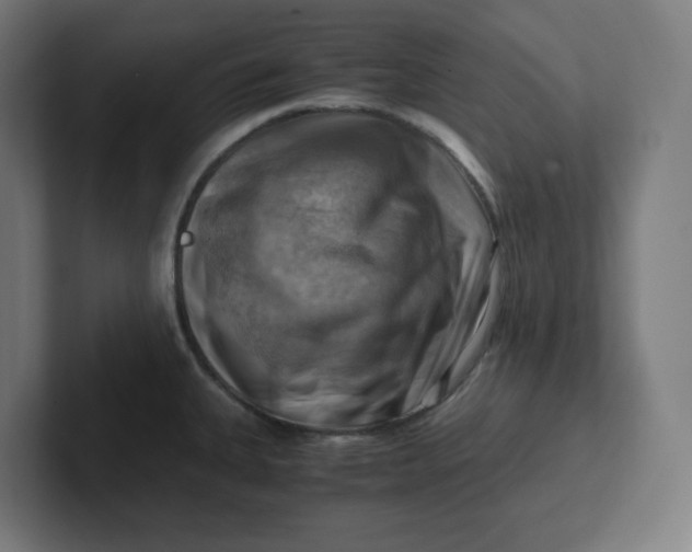 X0000102011335200808011134