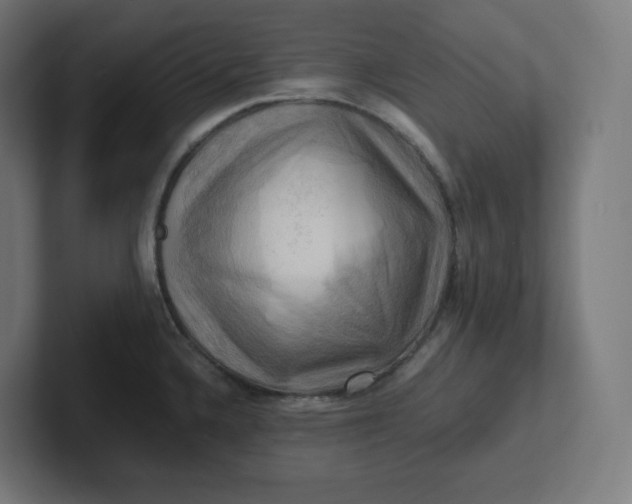 X0000102011336200808011134