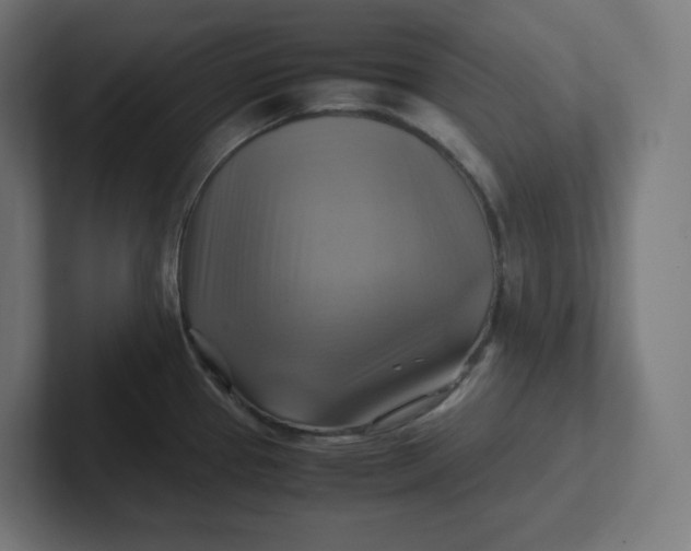 X0000102011337200808011134