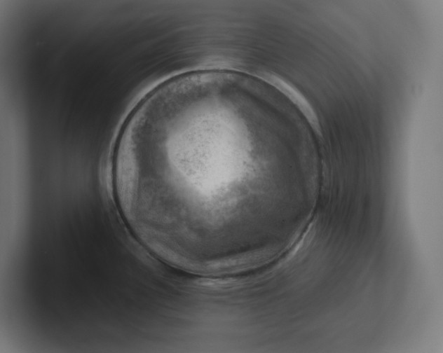 X0000102011340200808011134