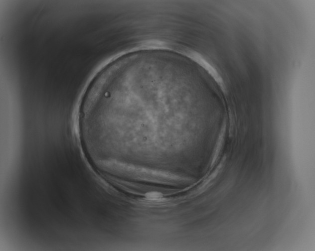 X0000102011342200808011134