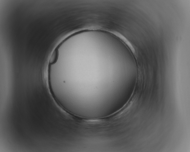 X0000102011343200808011134