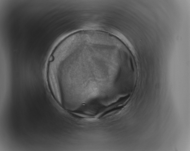 X0000102011344200808011134