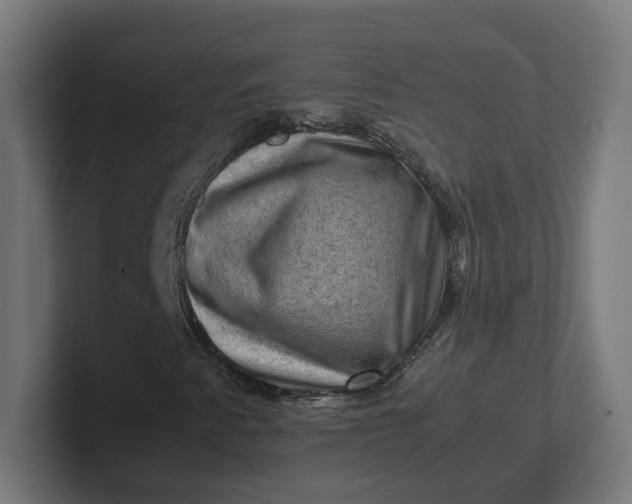 X0000102011345200808011134