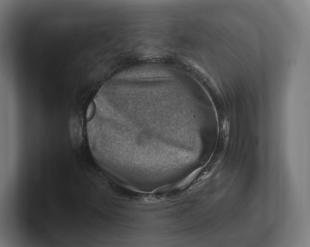 X0000102011348200808011134