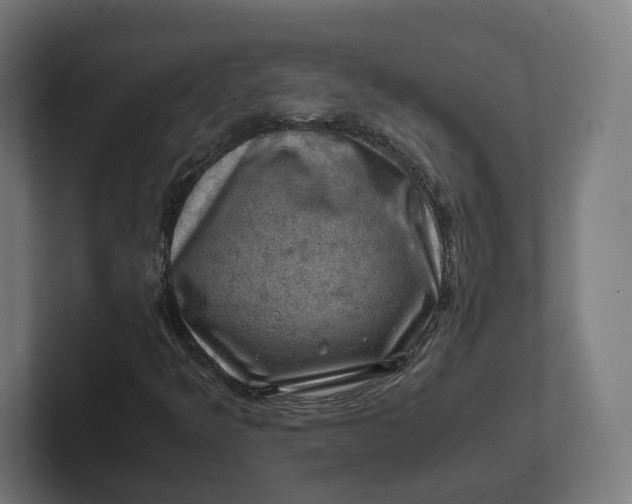 X0000102011349200808011134