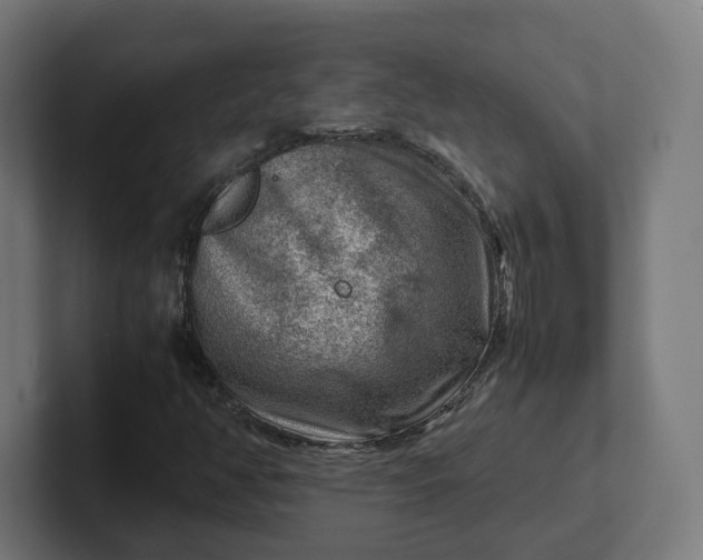 X0000102011350200808011134