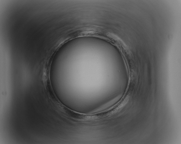 X0000102011353200808011134