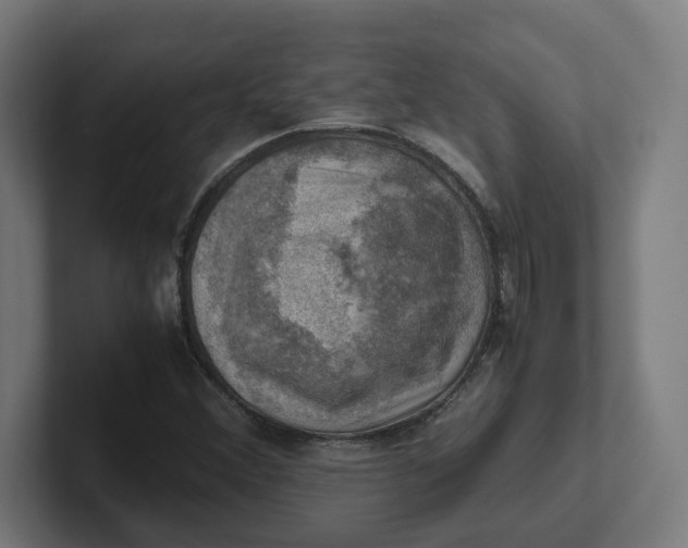 X0000102011356200808011134