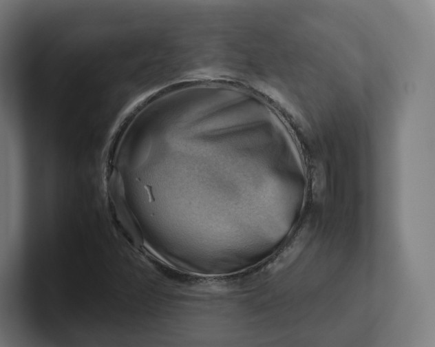 X0000102011358200808011134