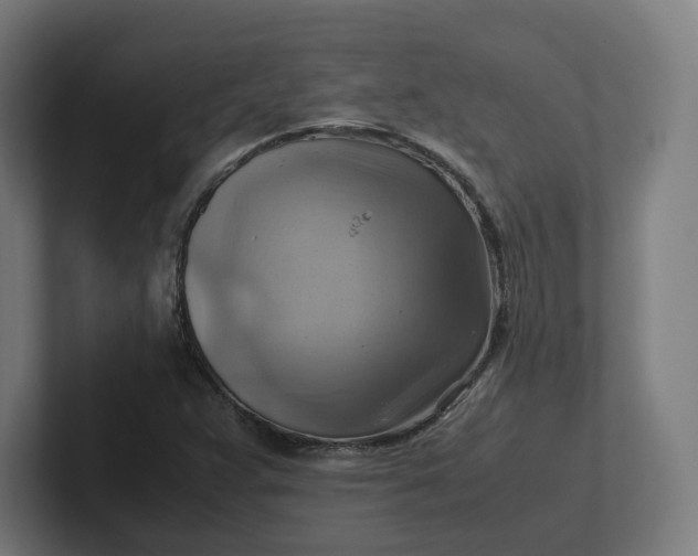 X0000102011359200808011134