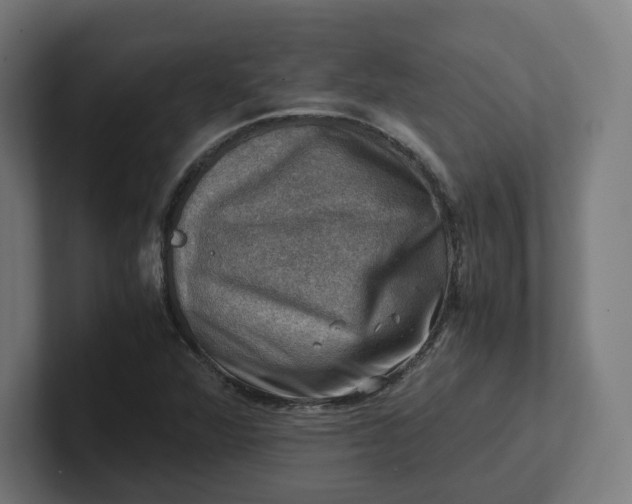 X0000102011360200808011134