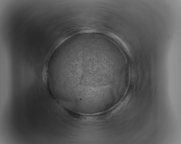 X0000102011361200808011134