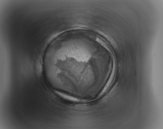 X0000102011363200808011134