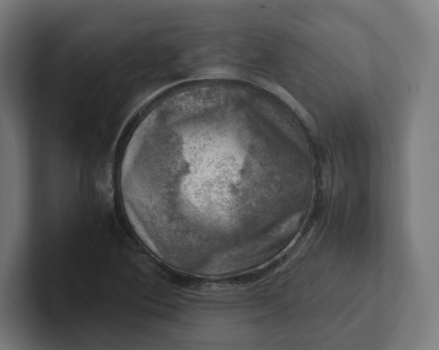 X0000102011364200808011134