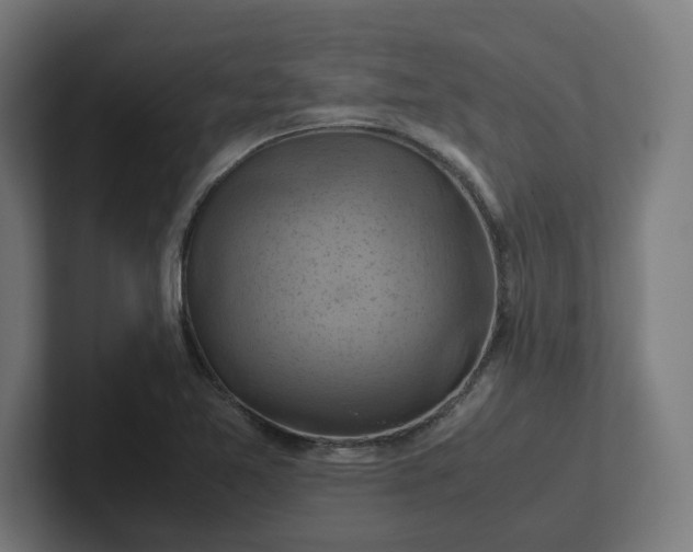 X0000102011365200808011134