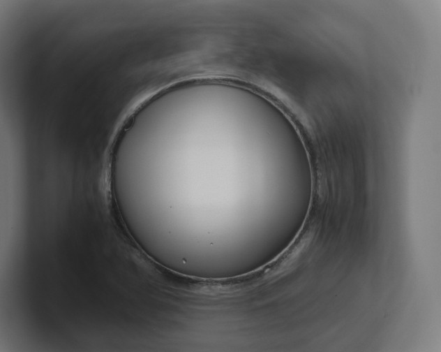 X0000102011366200808011134