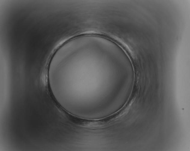 X0000102011367200808011134