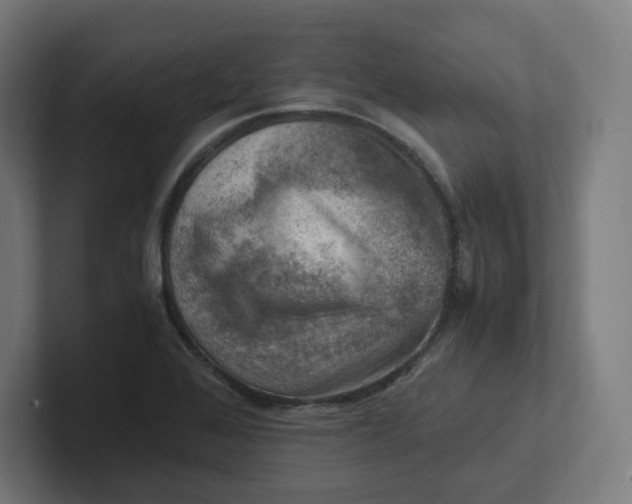 X0000102011368200808011133