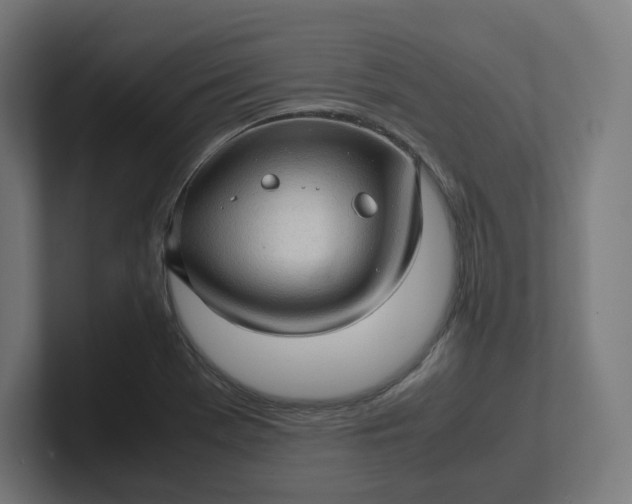 X0000102011369200808011133