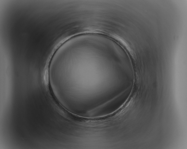 X0000102011371200808011133